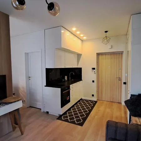 Vilnius Apartment Apartamento *