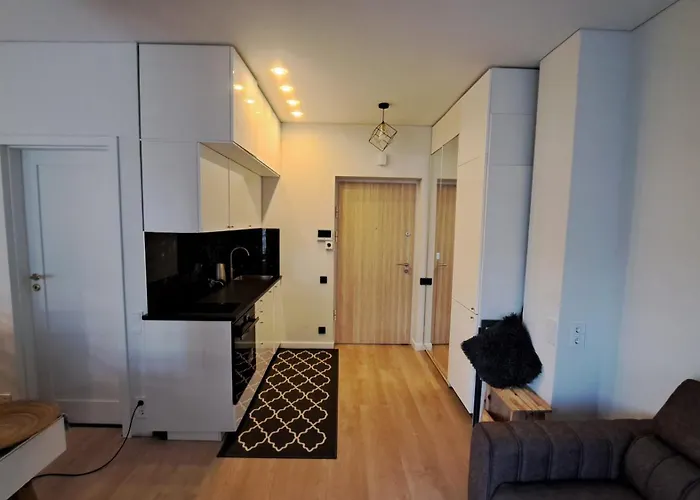 Vilnius Apartment * Вільнюс