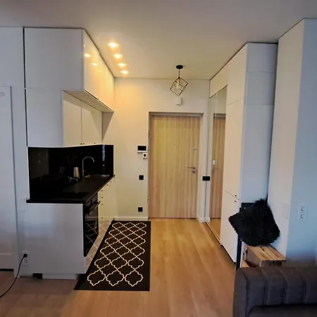 Vilnius Apartment * ヴィリニュス